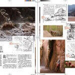 Grand Canyon Whitewater in China's Modern Weekly
